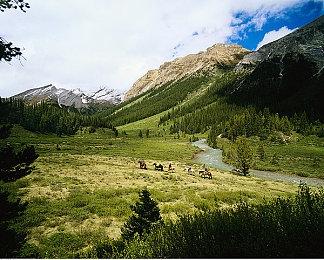 官宣：《孤岛危机：复刻版》9月17日登陆Steam 